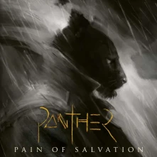 Pain of Salvation, CD Panther
