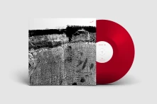 Vinyl QASR