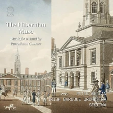 CD Irish Baroque Orchestra / - Hibernian Muse: Music For Ireland By Purcell and Cousse