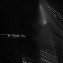 CD IAMX - UNFALL