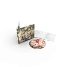 Paul McCartney, CD WILD LIFE