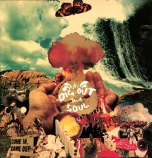 Vinyl Dig Out Your Soul