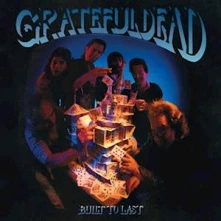Grateful Dead, Vinyl BUILT TO LAST