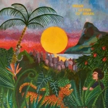 Vinyl Letter To Brazil
