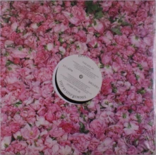 Braxe + Falcon, Vinyl Braxe + Falcon - Step By Step Remixes