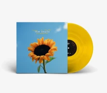Vinyl JOY IN SHORT MOMENTS