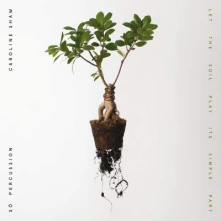 Caroline Shaw & Sō Percussion, CD LET THE SOIL PLAY ITS SIMPLE PART