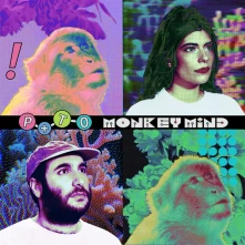 Vinyl MONKEY MIND