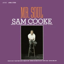 Vinyl Mr. Soul