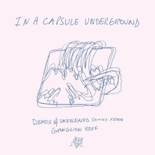 Vinyl IN A CAPSULE UNDERGROUND
