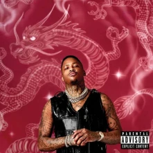 Vinyl Stay Dangerous
