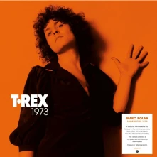 Vinyl SONGWRITER: 1973