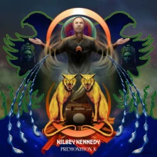 Vinyl PREMONITION K