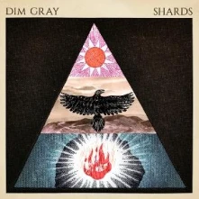 CD SHARDS