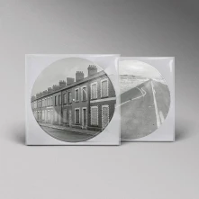 Vinyl Critical Thinking (Picture Vinyl)