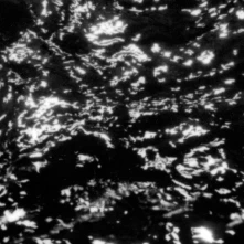 Grouper, Vinyl GROUPER - AIA: DREAM LOSS