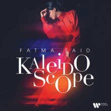 Vinyl KALEIDOSCOPE