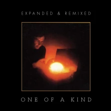Vinyl ONE OF A KIND