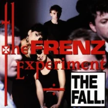 CD FRENZ EXPERIMENT