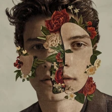 CD SHAWN MENDES