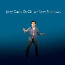 Vinyl NEW SHADOWS