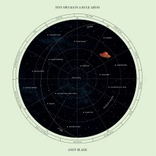 Vinyl TINY SPECKS IN A HUGE ...