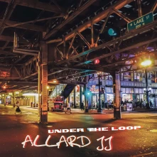 Vinyl UNDER THE LOOP
