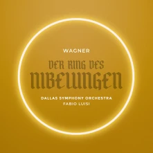 CD WAGNER: DER RING DES N...