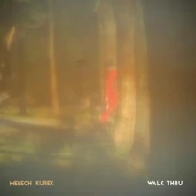 CD WALK THRU