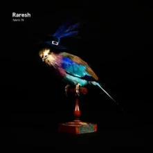 CD Fabric 78: Raresh