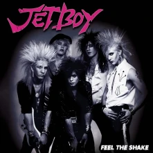 Vinyl FEEL THE SHAKE