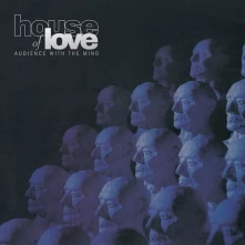Vinyl AUDIENCE WITH THE MIND