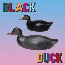 Vinyl Black Duck - Black Duck