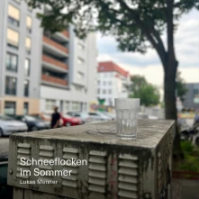 Vinyl SCHNEEFLOCKEN IM SOMMER