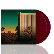Vinyl UBIQUITY
