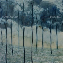 Camera Obscura, Vinyl DESIRE LINES