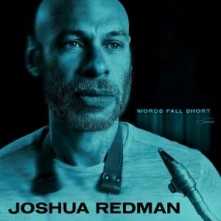 Joshua Redman, Brad Mehldau, Christian McBride & Brian Blade, CD WORDS FALL SHORT
