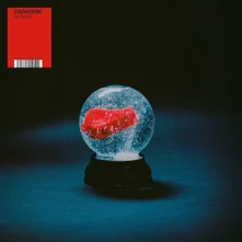Vinyl NOTHING