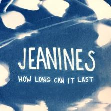 Vinyl HOW LONG CAN IT LAST