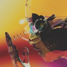Motion Graphics, Vinyl MOTION GRAPHICS