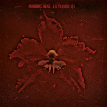 Vinyl BURNING RED