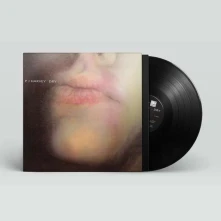 Vinyl DRY