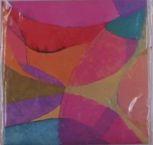 Vinyl Earthen Sea - Recollection