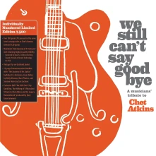 Vinyl WE STILL CAN'T SAY GOO...