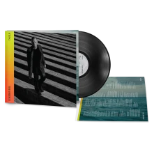 Vinyl The Bridge