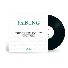 Vinyl FADING