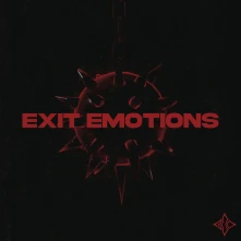 Vinyl Exit Emotions