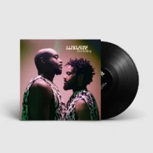 Vinyl Everlasting