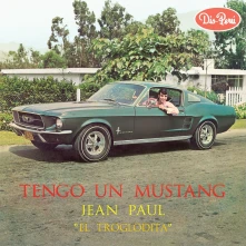 Vinyl TENGO UN MUSTANG