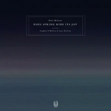 Vinyl Malone, Kali Feat. Stephe - Does Spring Hide Its Joy